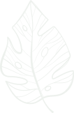 Vertical and Terrace Gardening Service in Mumbai